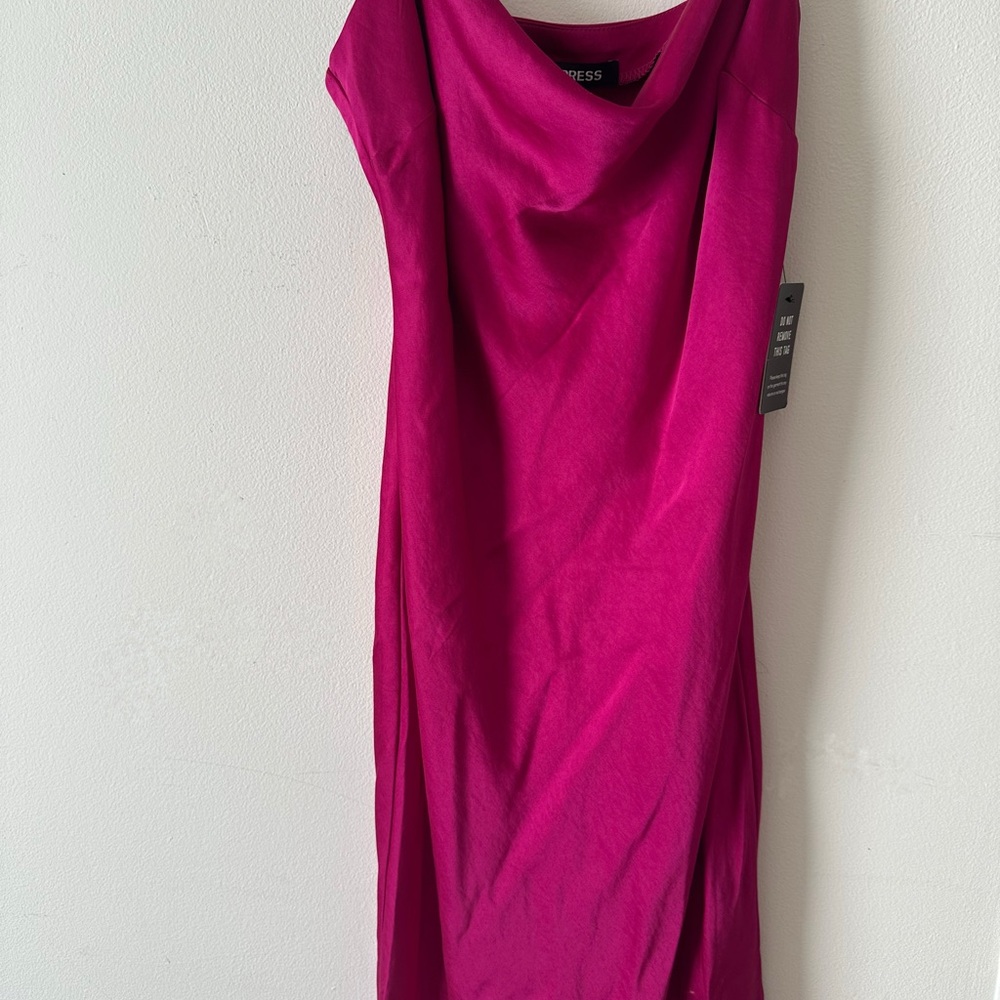 Express One Shoulder Fuchsia Dress